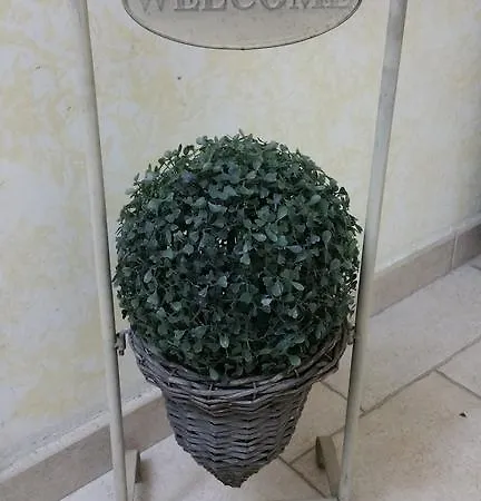 Bella Domus רומא